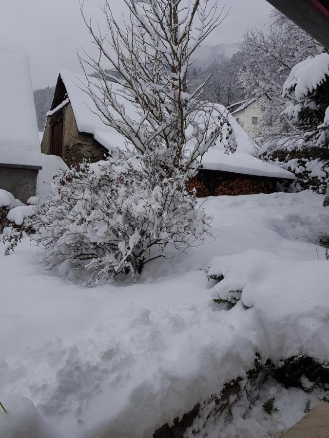 St Lary-Vignec Charmant Studio Au Calme מראה חיצוני תמונה
